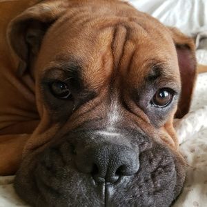 Meet your Posher, Dana